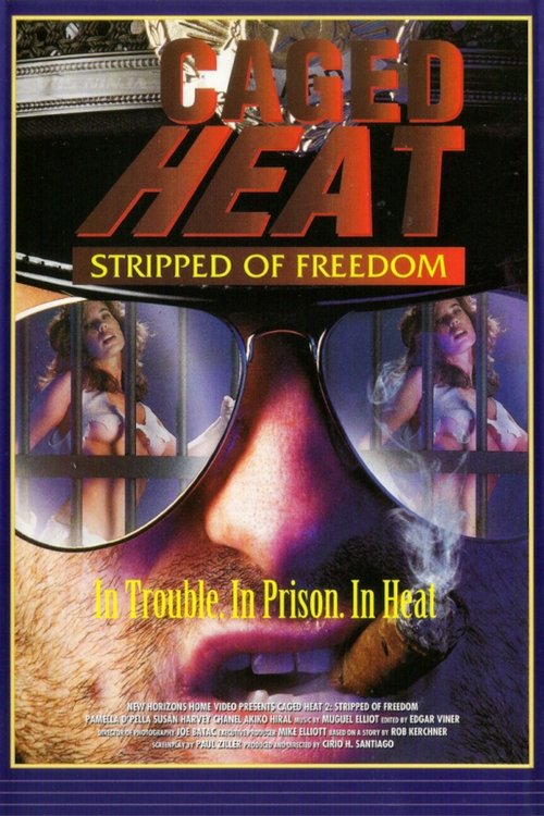 Poster 4