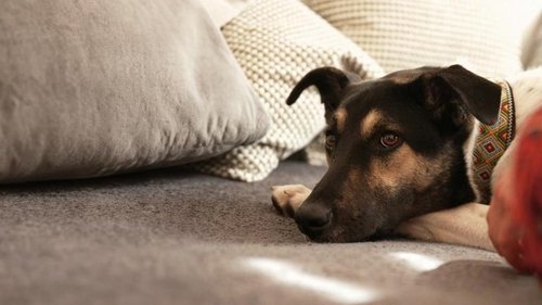 Image de l'épisode 3