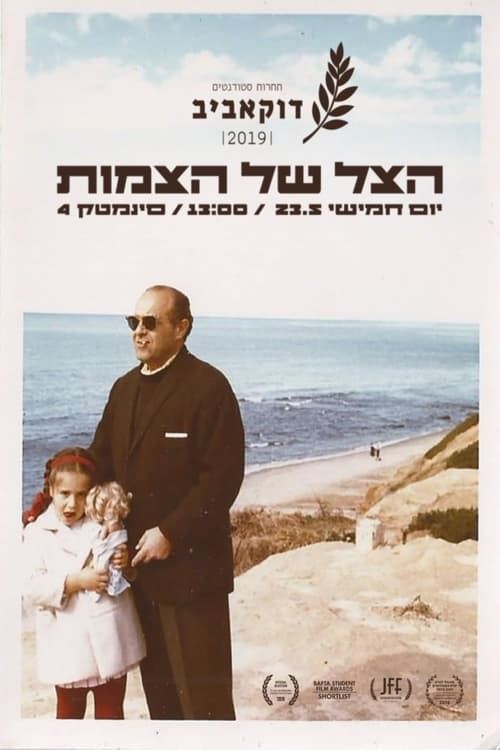 The Silhouette of Braids poster