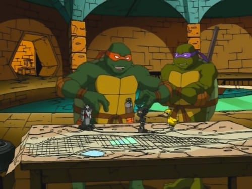 Poster della serie Teenage Mutant Ninja Turtles