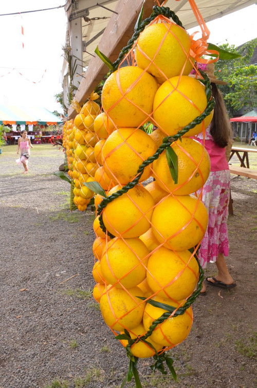 Polynésie sauvage - Les oranges sauvages de Tahiti
