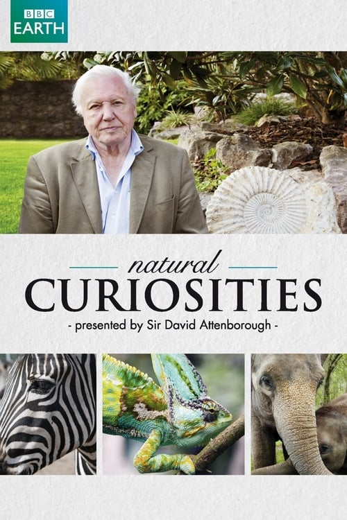 Where to stream David Attenborough's Natural Curiosities