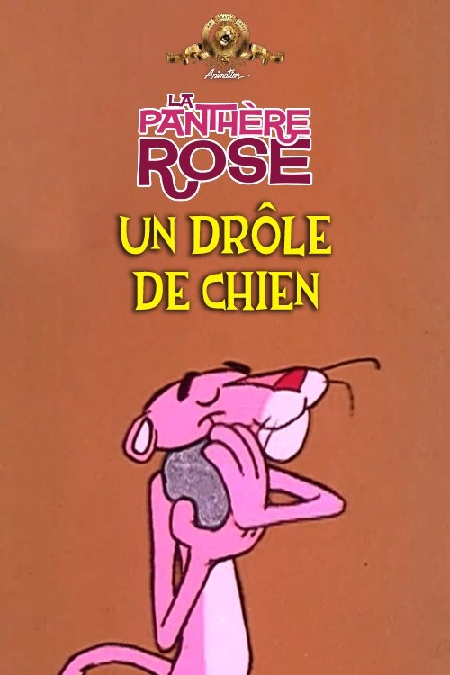 Un Drôle De Chien