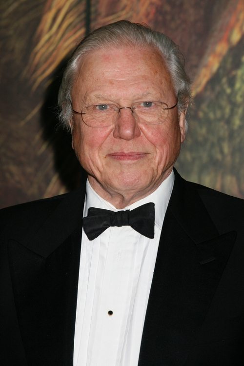 Kép: David Attenborough színész profilképe