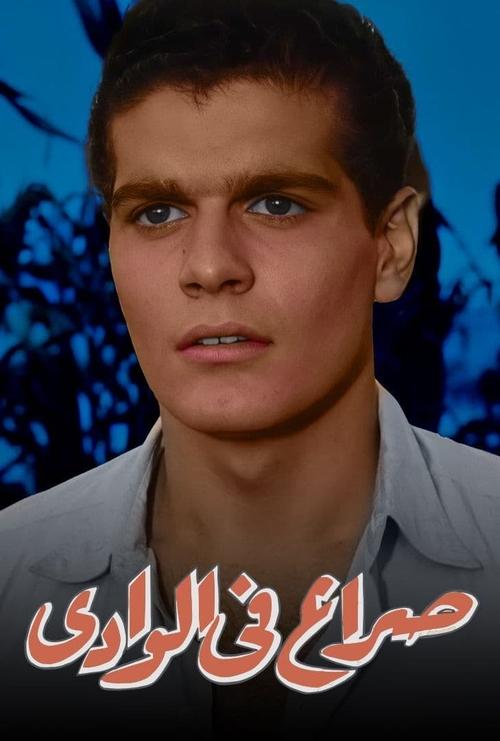 The Blazing Sun poster