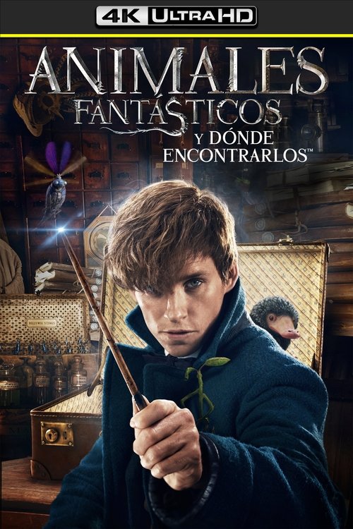 Posters
