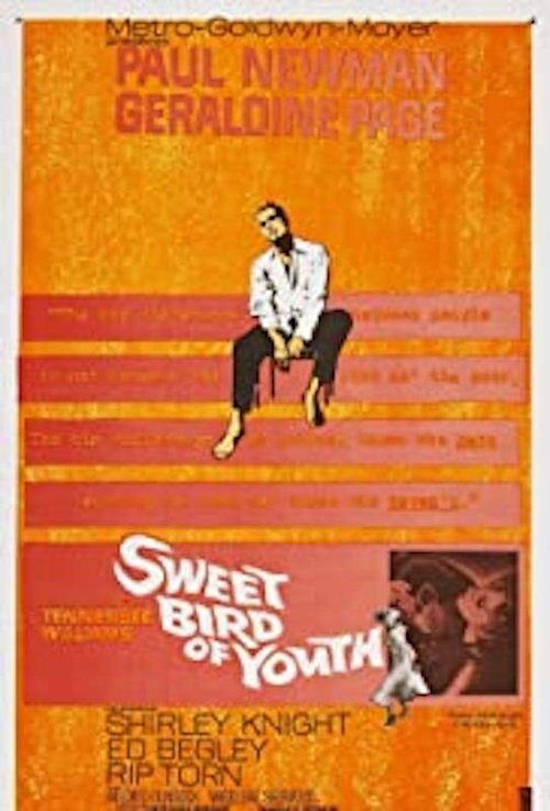 Sweet Bird of Youth movie poster player