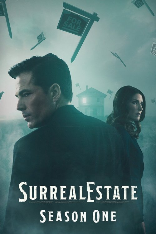 Where to stream SurrealEstate Season 1