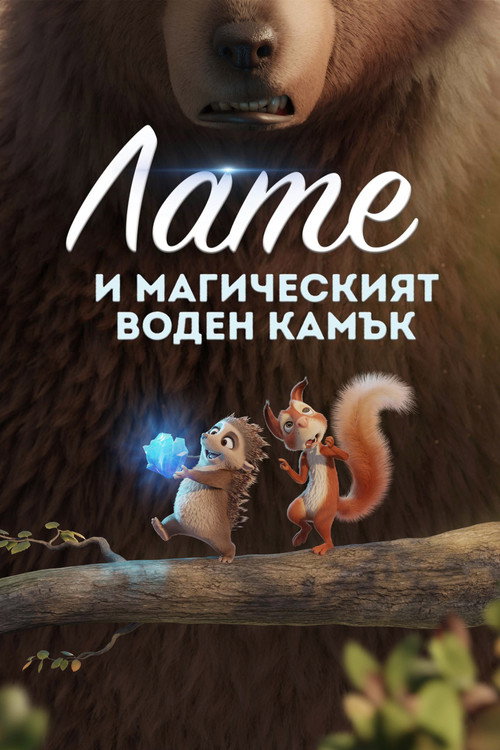 Лате и магическият воден камък