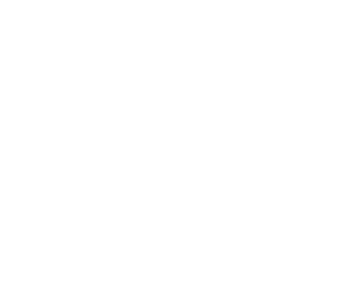 海獣の子供