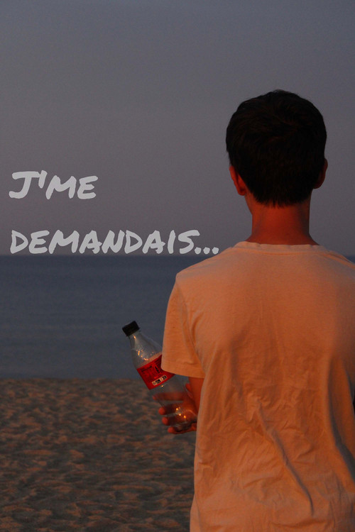 Cartell de J'me demandais...