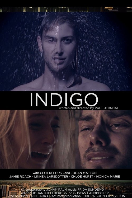 Indigo 2014