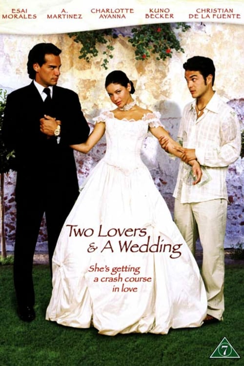 Once Upon a Wedding poster