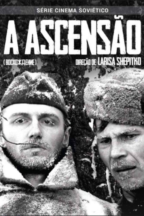 Pôster de A Ascensão