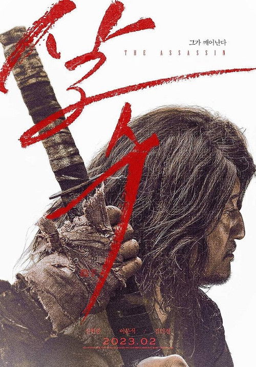 The Assassin poster