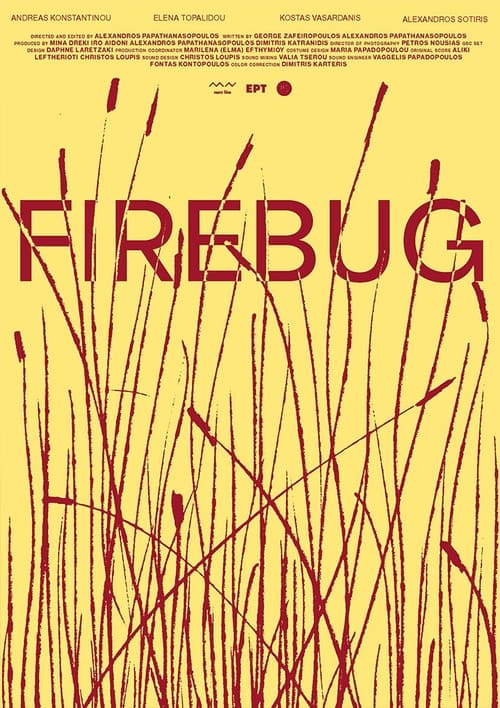 Poster do filme Firebug