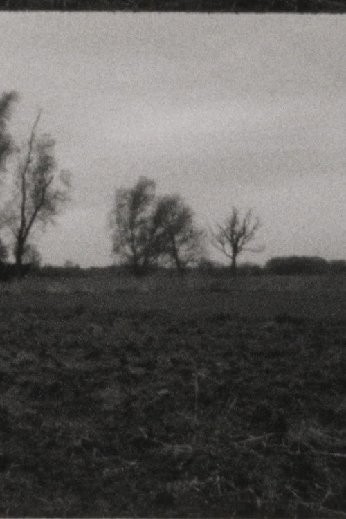 Landscape as Landscape 10