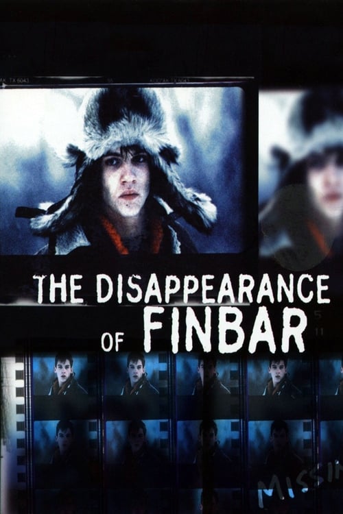 Grootschalige poster van The Disappearance of Finbar