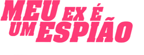 Meu Ex é um Espião - Logo 6
