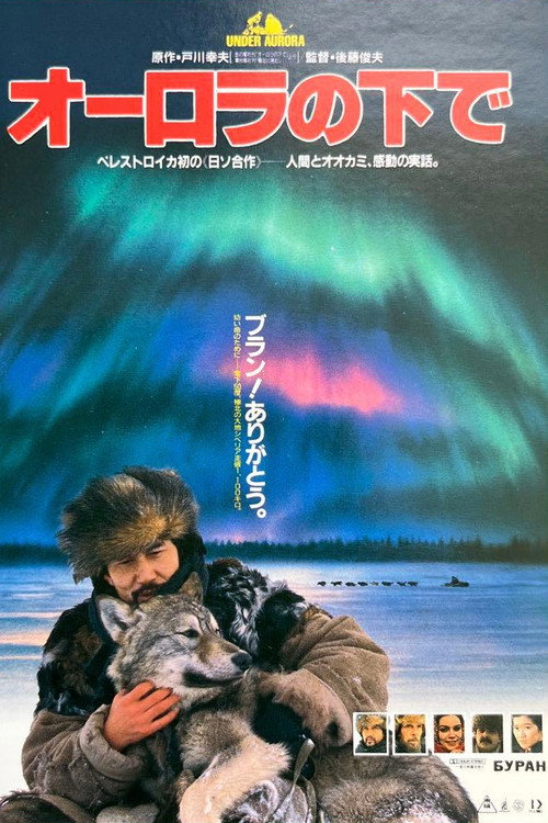 Aurora Borealis poster