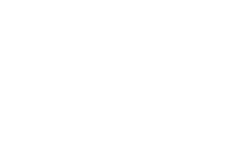 OSS 117 : Le Caire, nid d'espions