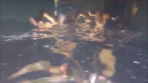 Pezas imposibles media