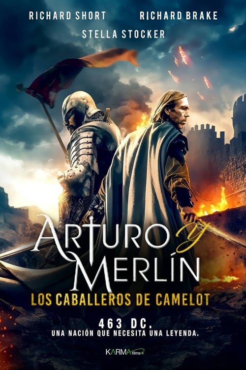 Arthur & Merlin: Knights of Camelot poster