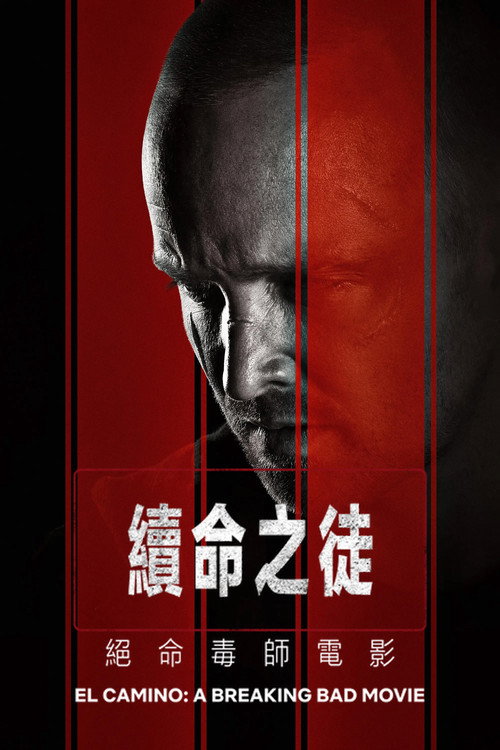 续命之徒：绝命毒师电影