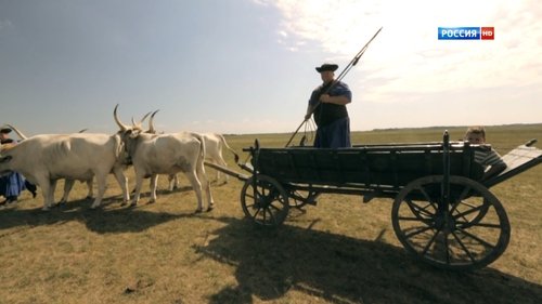 Image de l'épisode 1