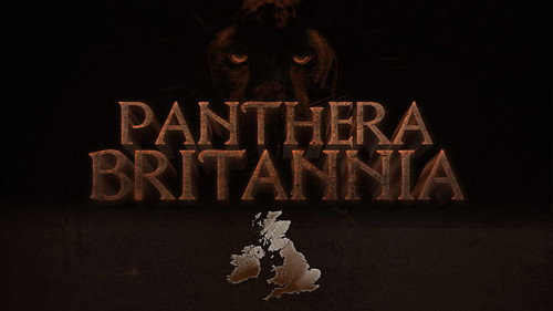 Panthera Britannia Backdrop Blur