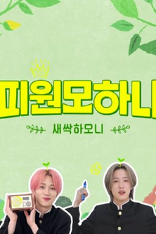 Escena 2 de Saessak Harmony