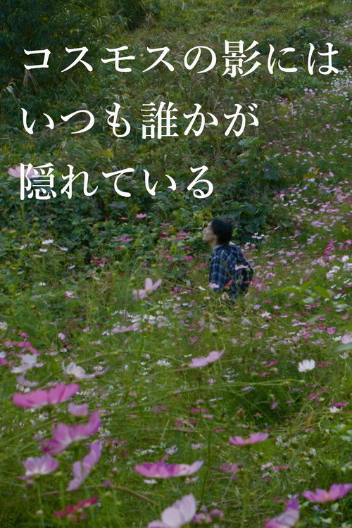 コスモスの影にはいつも誰かが隠れている poster