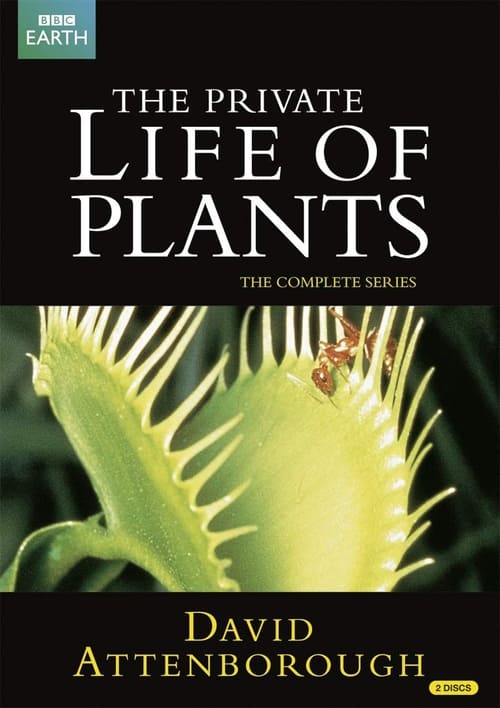 The Private Life of Plants (1995) poster