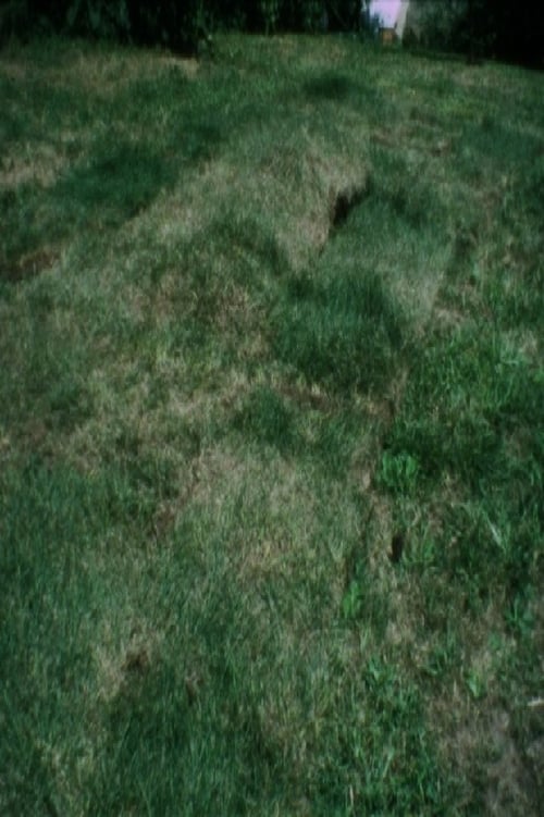 Grass Breathing 1974
