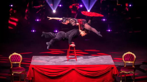 Le Cirque Phénix - 25 ans