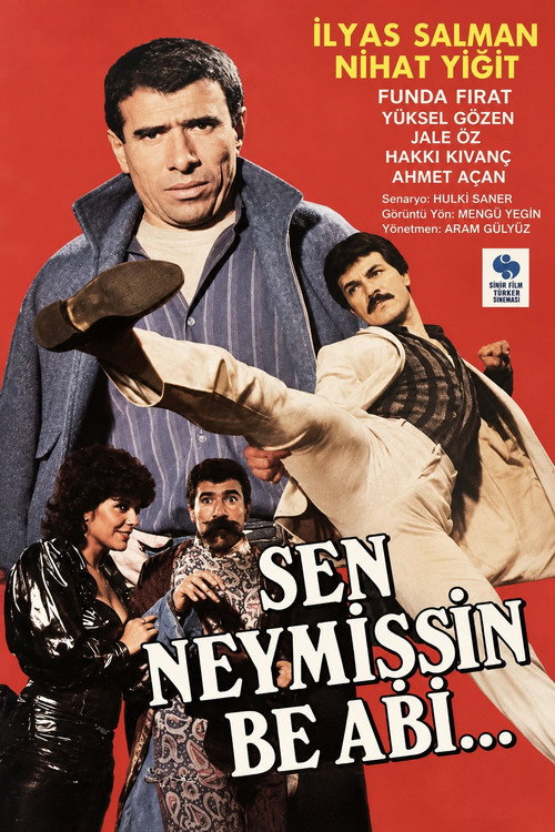 Sen Neymişsin Be Abi... still 1