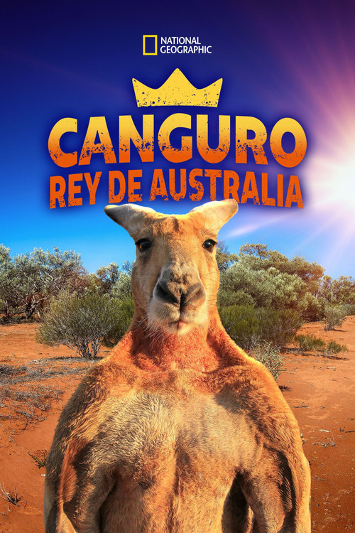 The Kangaroo King poster