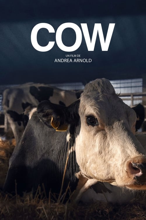 Cow (2022)