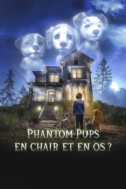 Image Phantom Pups : En chair et en os ?