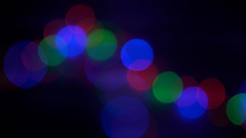 Rat Race: A Short Documentary