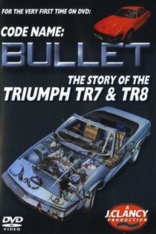 Codename: Bullet movie poster player