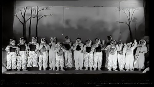Al Helween Forest Backdrop Blur