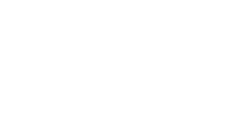 Elvis Presley: The Searcher