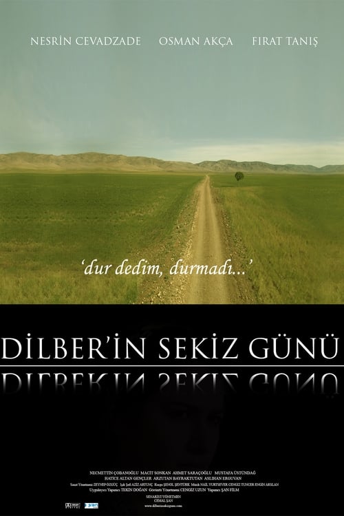 Dilber'in Sekiz Günü 2009