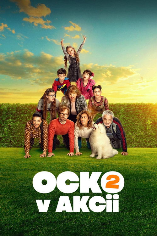 Father There Is Only One 2 poster