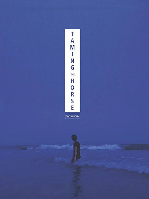 Taming the Horse poster