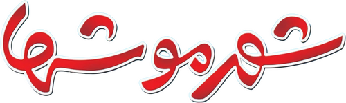 شهر موشها