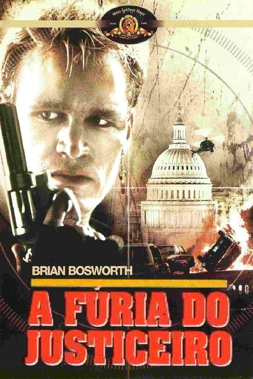 A Fúria do Justiceiro movie poster player