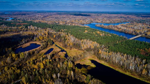 Chernobyl: A Natural History still