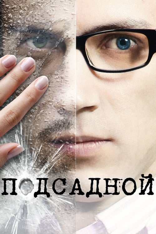 Подсадной (2010) poster